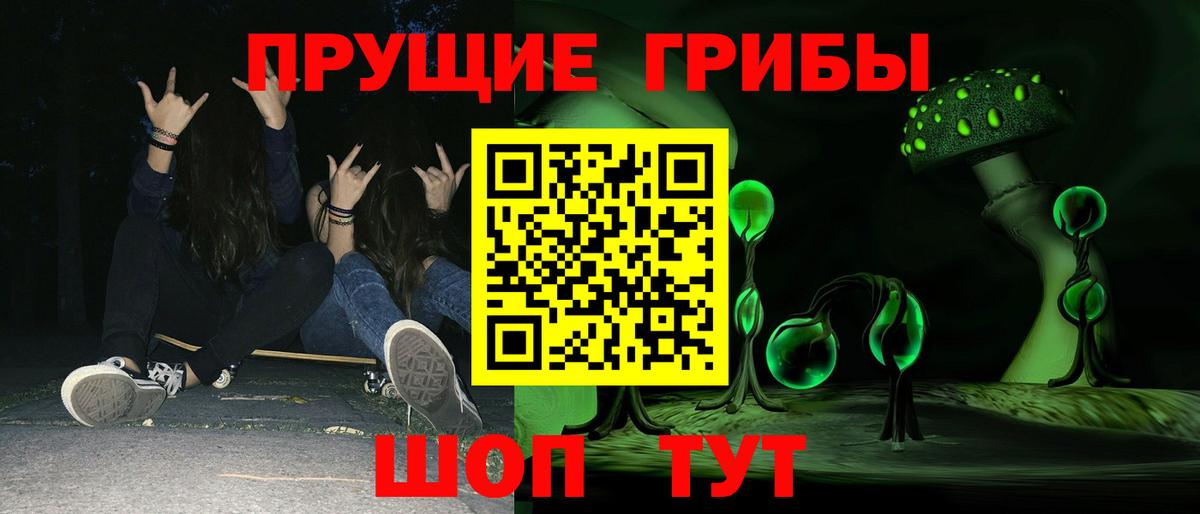 закладки  Вход с VPN  Псилоцибиновые грибы Magic Shrooms  Киселёвск  Галлюциногенные грибы ЛСД 