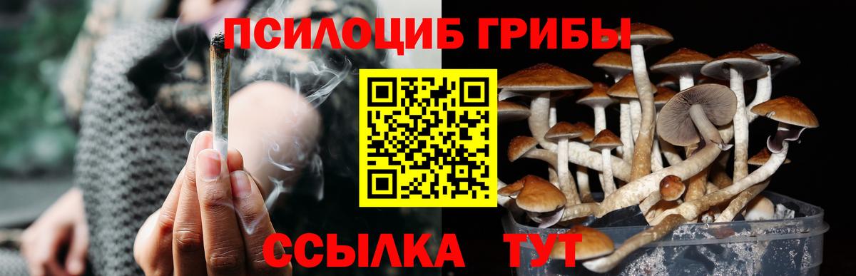 Галлюциногенные грибы мухоморы Киселёвск
